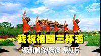 广场舞视频大全免费下载《我祝祖国三杯酒》