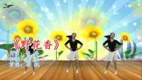 广场舞减肥舞瘦肚子视频下载《野花香》初学