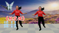 广场舞减肥舞瘦肚子视频下载《桃花错》mp4