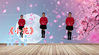 广场舞减肥舞瘦肚子视频下载《小花》舞步简