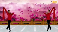 瘦腰瘦肚子减肥广场舞《山丹丹花开红艳艳》