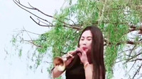 唢呐教学视频入门教程《天路》视频mp4免费