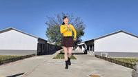 玫香广场舞视频大全《唐伯虎点秋香》32步附