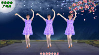 广场舞教学视频免费下载mp4《月亮变了我不变》优美大方32步下载