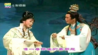 越剧下载免费mp4《红楼梦想当初》名家赵志