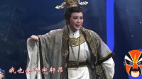 越剧下载免费视频到手机《甄嬛》选段 豫剧