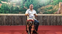 鲁南大鼓书《蜜饯游宫》王成伟演唱mp4免费