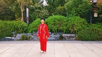 新编二十八式太极拳 太极拳初学入门视频 下