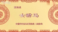黄梅戏下载免费mp3打包下载《女驸马》全剧 
