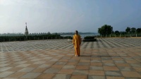 陈式太极拳老架一路（上）太极拳自学教程免费下