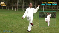 混元二十四式太极拳 21平心捶 动作教学视频