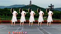 最新广场舞视频大全免费下载《相伴一生》每