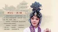 京剧下载免费mp4高清《望江亭清安观》郭子
