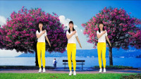 中老年人经络拍打养生操《酒醉的蝴蝶》高清