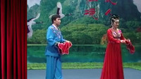 二人转下载mp4免费下载《背母逃难》张晓光 