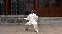 陈炳演示陈氏太极拳老架二路（炮捶）视频mp4免