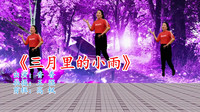 广场舞视频大全免费下载高清《三月里的小雨