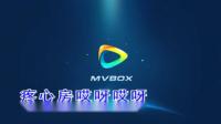 二人转小帽单出头选段视频演唱 《月牙五更