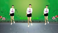 广场舞教学视频下载大全高清《大漠风歌》暴汗减肥弹跳32步火爆了下载