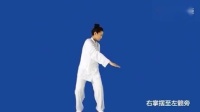 易筋经十二式 第二势《摘星换斗》易筋经教