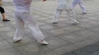 陈氏太极拳老架一路74式 太极拳初学入门视