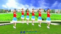 广场舞教程视频大全下载《在希望的田野上》