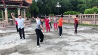 陈氏太极拳七十四式教学视频mp4免费下载