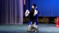 丝弦戏大全视频mp4免费下载《花烛恨》石家