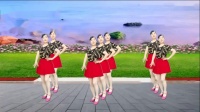玫香广场舞《酒醉的胡蝶》32步附教学2020年