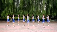云裳广场舞大全视频大全集 《独爱一枝花》 