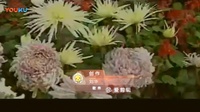 赣南采茶戏下载免费mp3下载《满妹子要出嫁