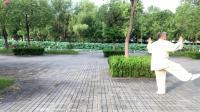 杨氏太极拳85势老架 高清视频mp4免费下载