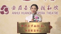 黄梅戏经典荟萃《孔雀西北飞 婆媳生活》高