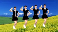 广场舞教学视频基础步慢动作《爱你每一天》