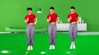 广场舞教学视频基础步慢动作《爱爱爱》DJ广