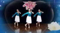 广场舞教学视频大全分解慢动作《做你的雪莲》视频mp4免费下载下载