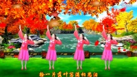 广场舞教学视频免费下载mp4《秋风吹落一滴