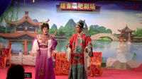 手机免费下载琼剧mp3《鸡仔落米缸》寒梅芳