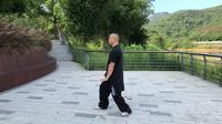 武式太极拳108式 太极拳初学入门视频分解动