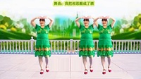 广场舞mv下载高清mp4《我把相思酿成酒》0 