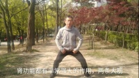 2何氏八段锦 左右开弓似射雕（完整心法教程）视