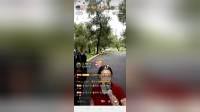 二人转下载mp4免费下载《张四姐临凡》孟丽娟 小白龙演唱下载