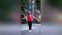 幼儿舞蹈教学视频《大梦想家》mp4免费下载