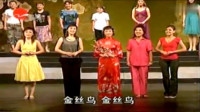 沪剧名段联唱《金丝鸟》《昨夜情》沪剧越剧