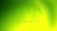岳阳屈原花鼓戏mp3免费下载《错斩郑子明》01  主演 刘春满 李其良 周建兵 谢超下载
