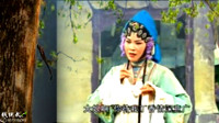安徽庐剧《休丁香》视频mp4免费下载 丁香被