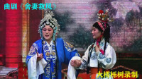 曲剧下载免费mp4《舍妻救凤》选场（二）河南栾