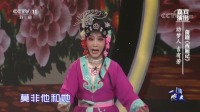 蒲剧下载地址视频《西厢记》选段 表演十分