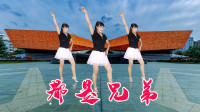 广场舞视频大全mp4免费下载《都是兄弟》动