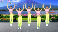 广场舞视频免费下载网站《梦中的新娘》初学